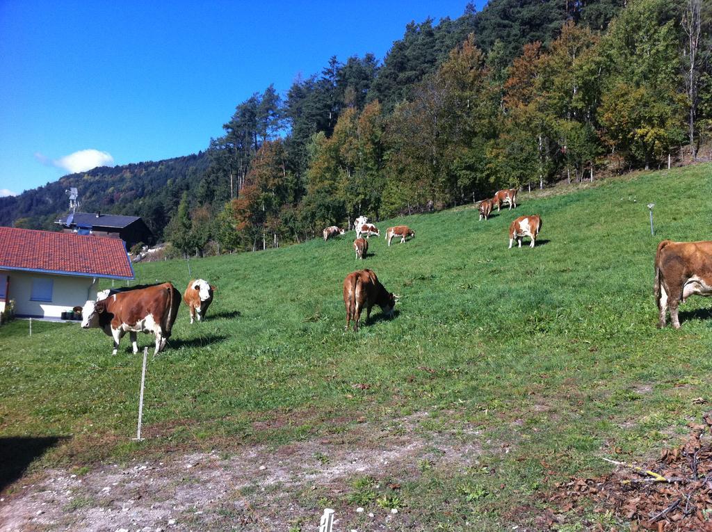 Appartament Eichnerhof Chienes Rum bild